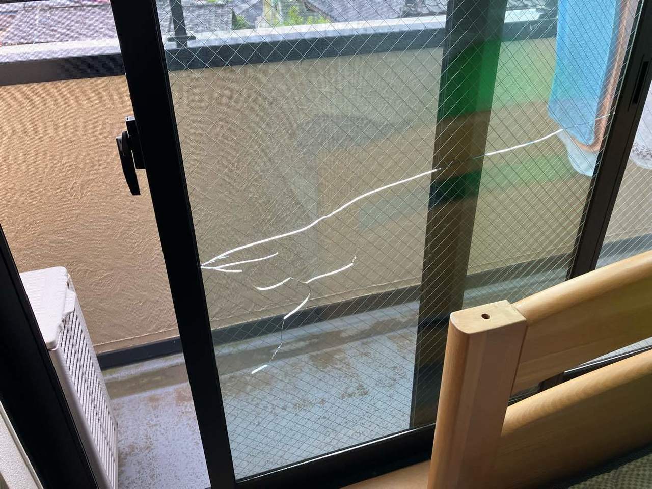 ガラスの熱割れ13ガラパゴス！